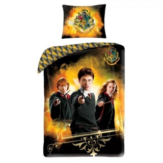 Harry Potter 140x200 cm - HP-8098BL
